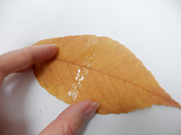 Place a line of floral glue on the leaf