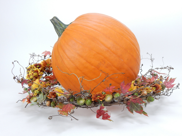 Pumpkin wreath display