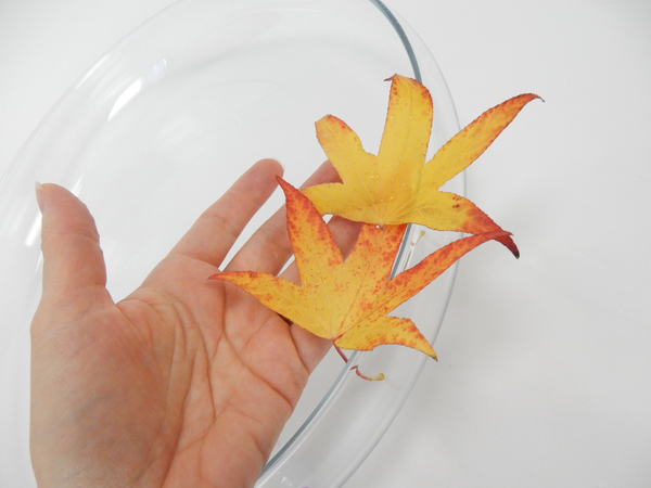 Rest the leaves on the edge of a container