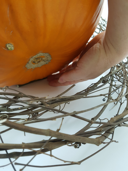 Slip a tiny vine snipped under the pumpkin so that it does not roll around in the display