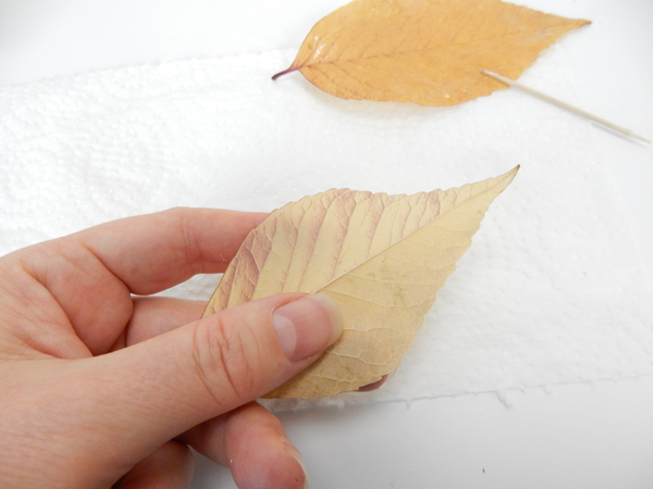 Turn the leaf so that the muted underside faces outward to create a more understated Autumn colour scheme .