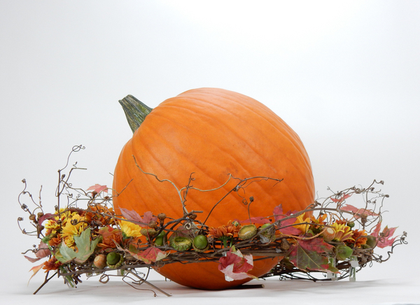 Whipped up in the autumn breeze floral art design