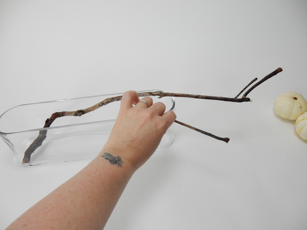 You will need a sturdy twig to rest on a shallow container You will need a sturdy twig to rest on a shallow container
