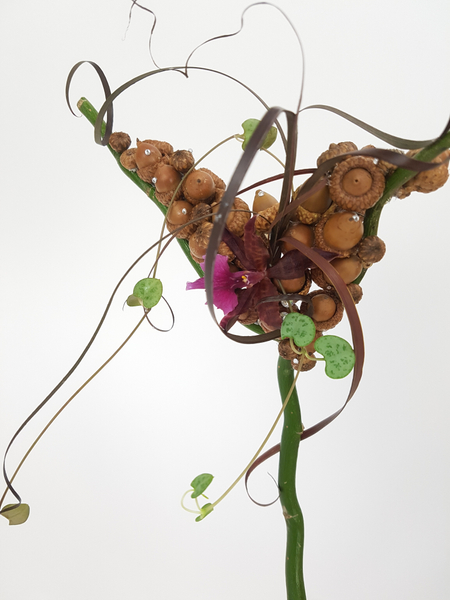 Acorn and willow armature Acorn and willow armature