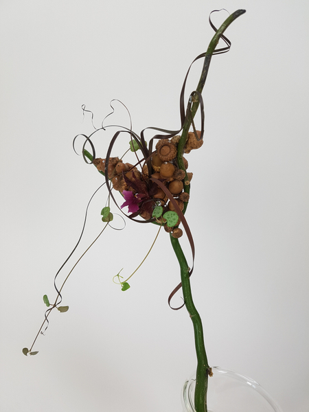 Acorn, rosary vine, willow, flax and an oncidium orchid autumn design