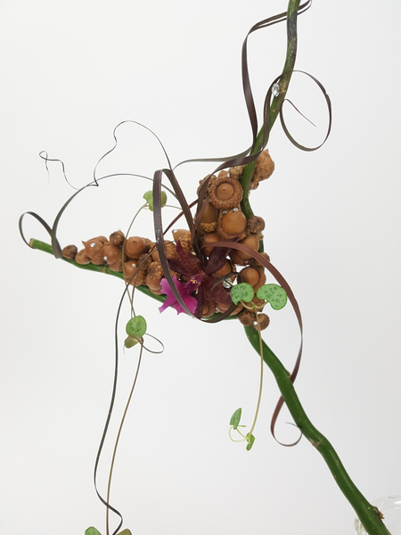 Acorn, rosary vine, willow, flax and an oncidium orchid fall design