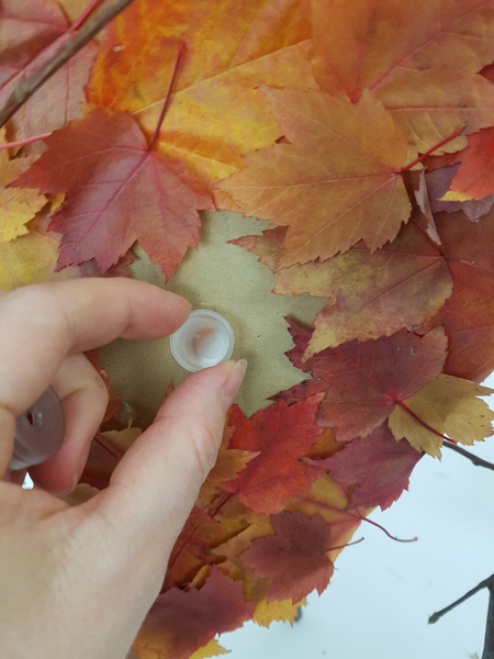 Sink the water tubes into the cardboard hole at an angle