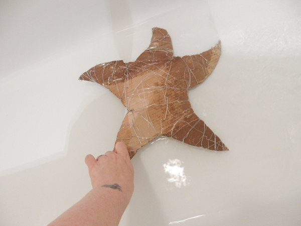 Soak the cardboard star in a tub filled with warm water