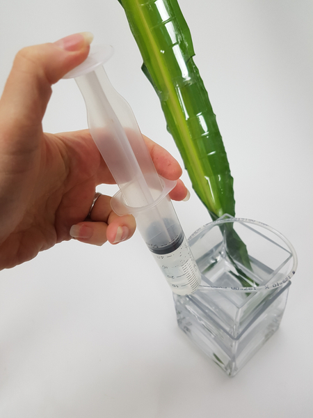 Add water to the bottom vase