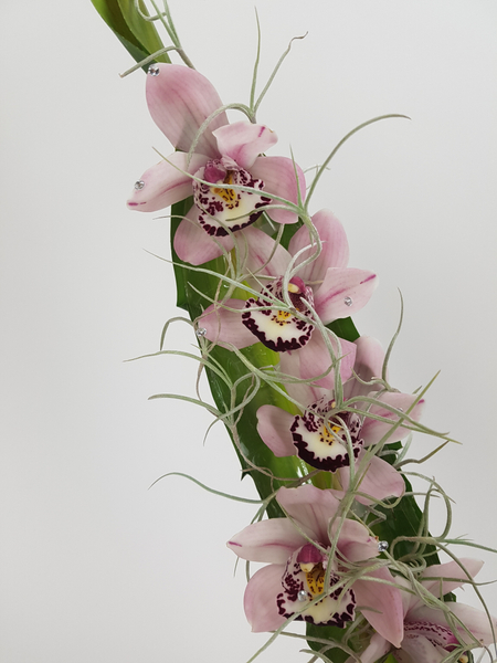Cymbidium orchids and Tillandsia Usneoides