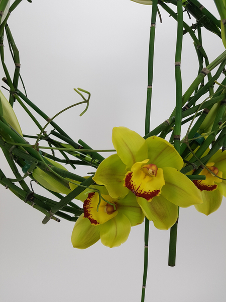 Cymbidium and Equisetum wreath