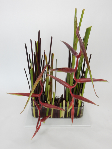 Heliconia stem armature floral design