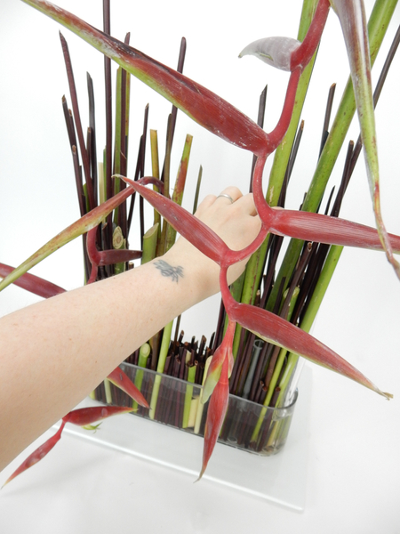 Place the heliconia stems.