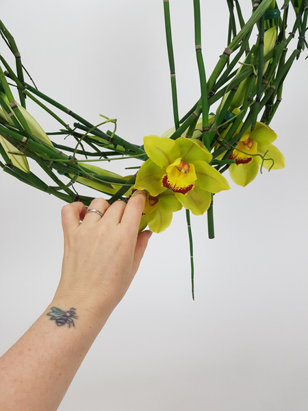 Place the orchids in water tubes