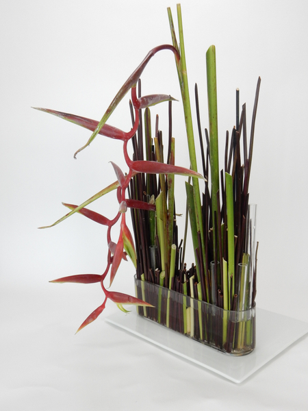 Red lipstick hanging heliconia stem armature