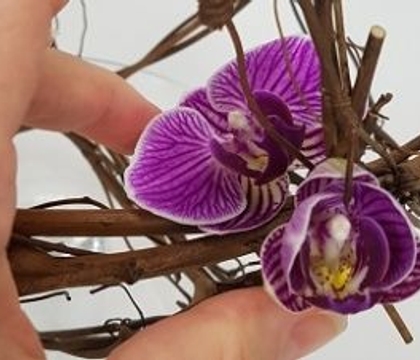 Bring some Spring
