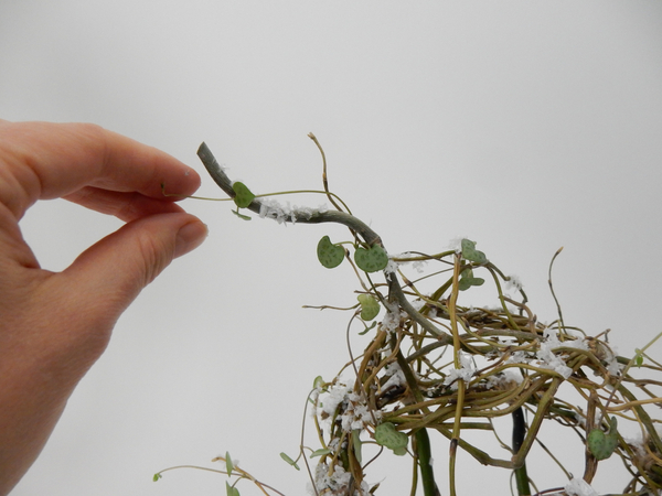 Once the cage is secure add a few decorative willow stems, fake snow, sparkling beads and the fresh flowers and vines.