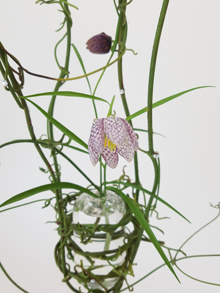 Clematis vine nest for a Fritillaria flower arranging design