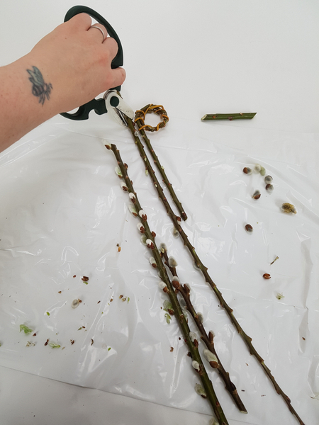 Cut the stems for the spine of the hanging design.