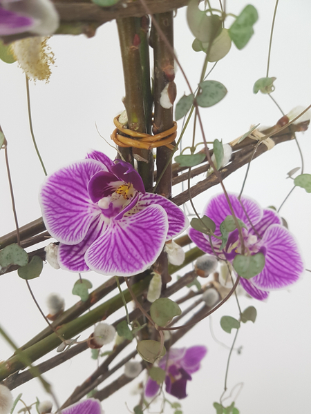 Phalaenopsis, rosary vine and pussy willow armature