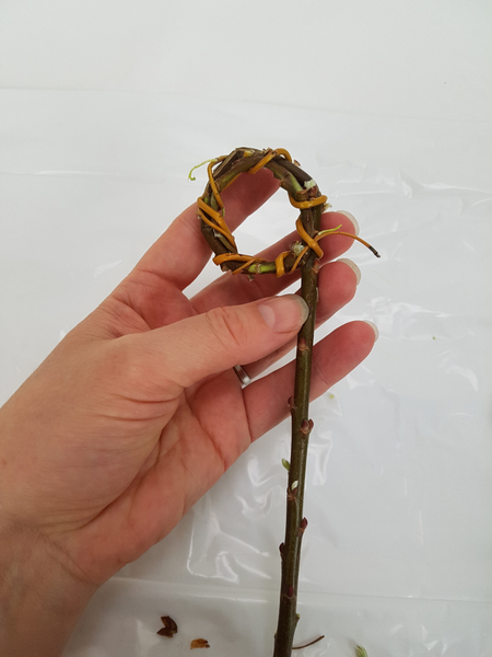 Secure by weaving the stem into the wrapped loop