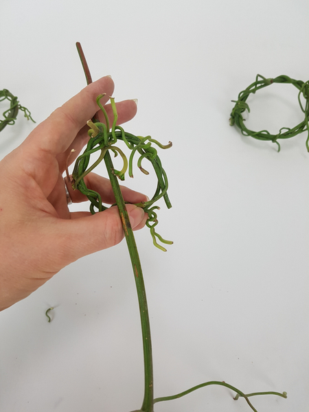 Weave a longer vine through the wreath