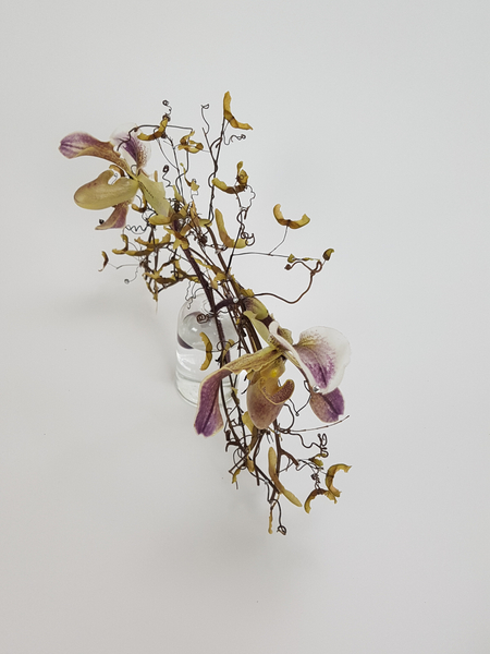 Lady Slipper orchids flower arrangement