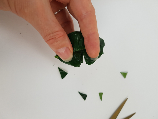Make a stack of the foliage and cut them at the same time so that the wedge is similar in size.