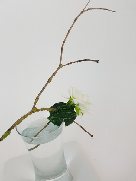 Minimalist floral design