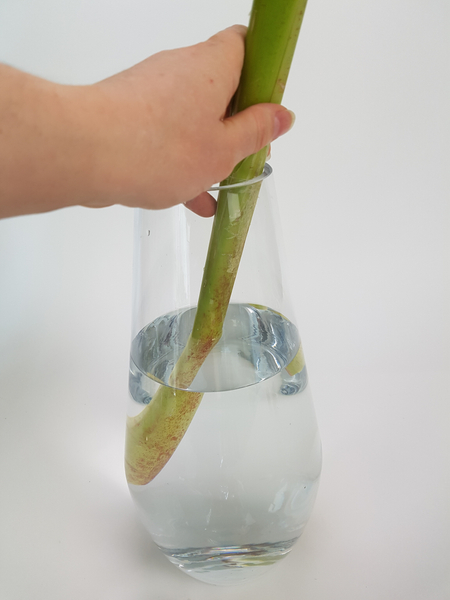 Place a Heliconia stem at a slight angle in a vase.