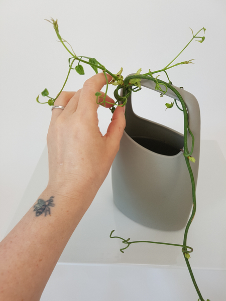 Thinner stems can be wrapped around the container to keep it in place Thinner stems can be wrapped around the container to keep it in place
