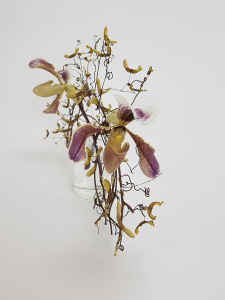 Vine armature with Lady Slipper orchids.