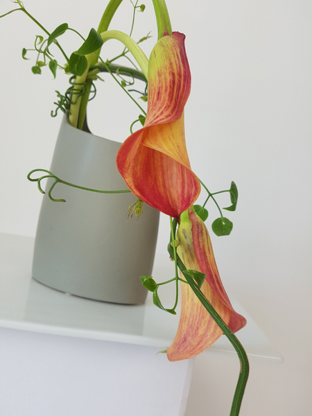  Zantedeschia flower arrangement