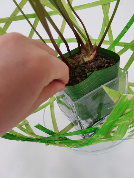 Slip the plastic between the pot and the container.