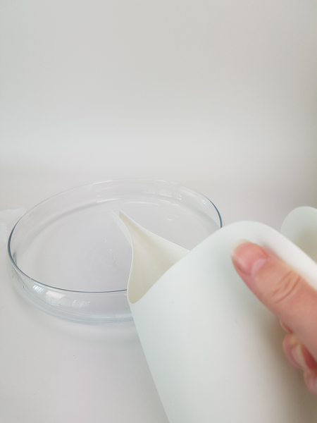 Fill a shallow container with water. Fill a shallow container with water.