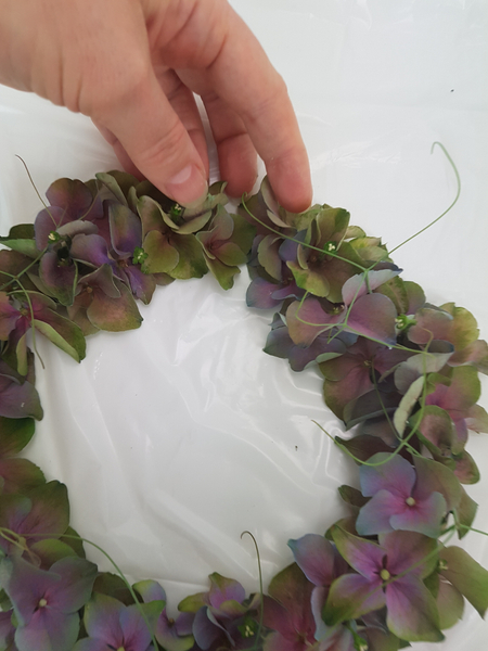 Glue in sweet pea tendrils and connect the wreath ends.