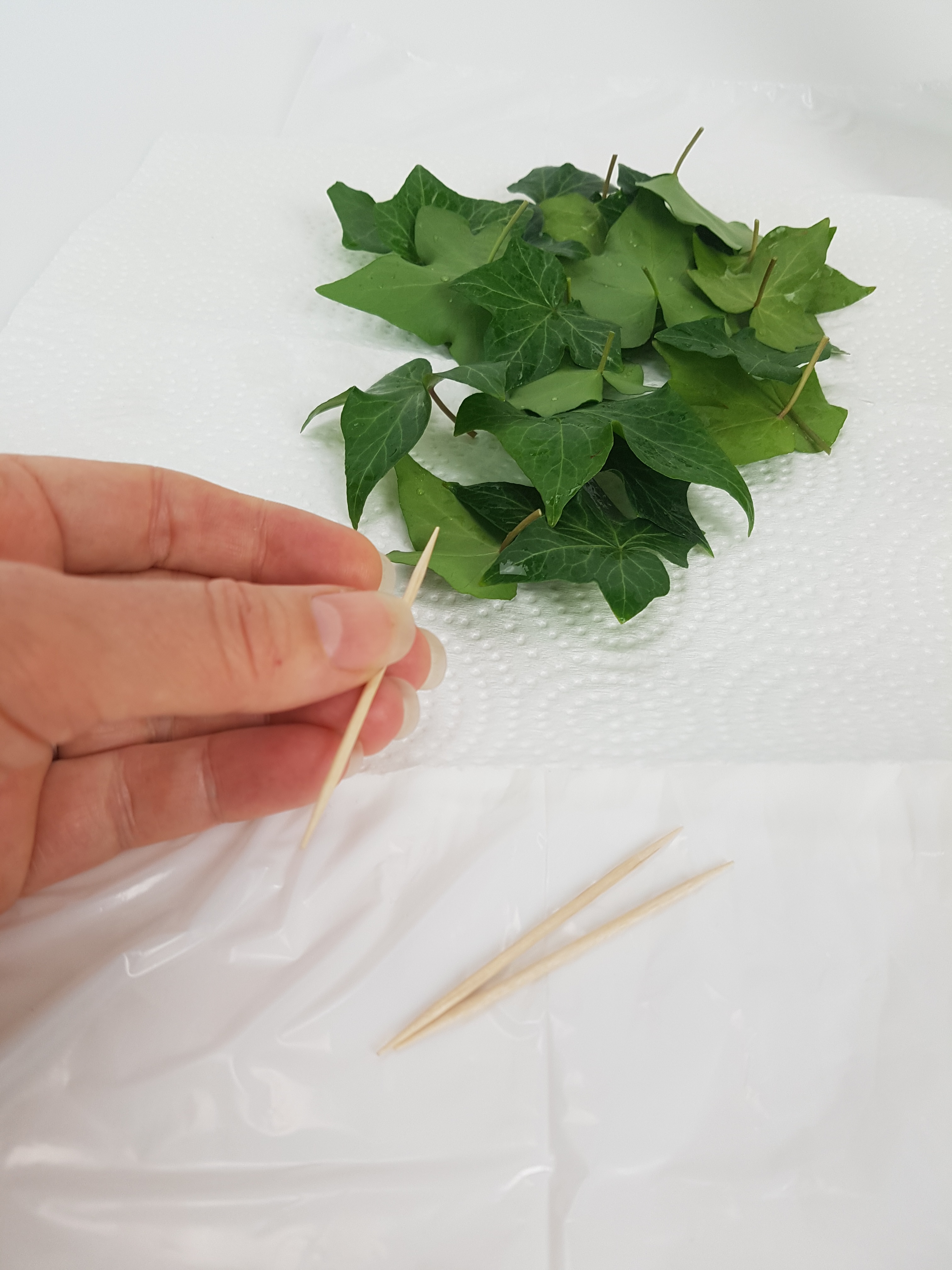 Tutorials - Balancing Sweet pea stems with an Ivy Leaf Stack