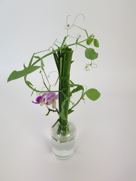 Lily grass bundle for a Phalaenopsis and sweet pea design