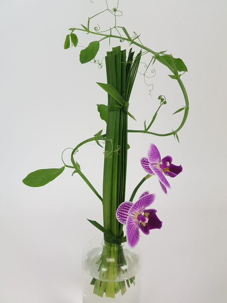 Lily grass, Phalaenopsis and sweet pea vine design