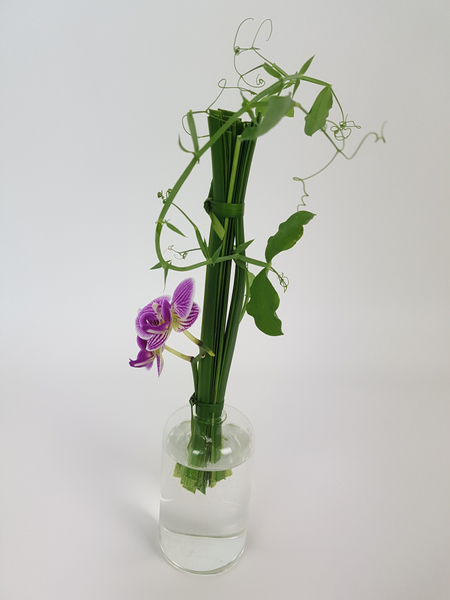 Phalaenopsis, lily grass and sweet pea design
