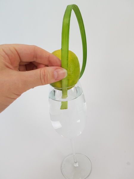 Slip your fresh plant material under the lemon so that it can remain hydrated in the water filled container.