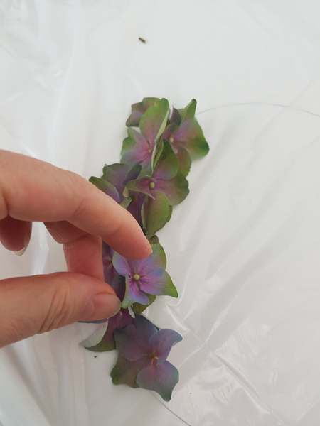 Snuggle the floret into the one before.  Try to glue any place the petals overlap.  Also try to make the connection as high as possible so that it will not come unglued when resting in the water.