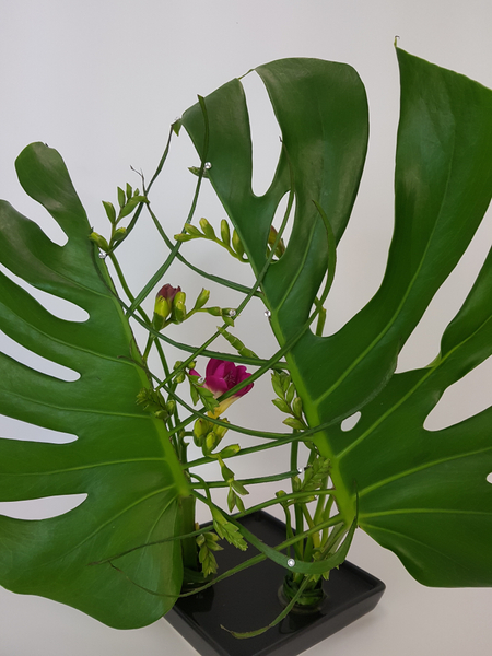 A vein veil to frame delicate freesias   