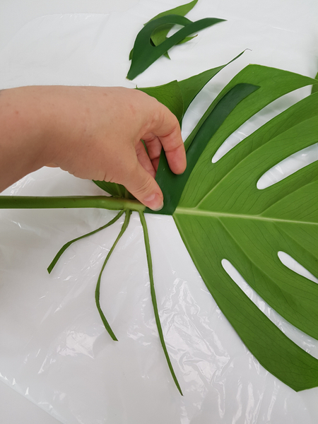 Cut the leaf on both sides of the vein, fold it up and score the fold with the pad of your thumb.