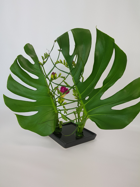 Freesia and monstera flower arrangement  