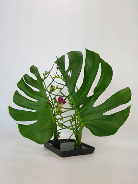 Freesia and monstera flower arrangement using a kenzan