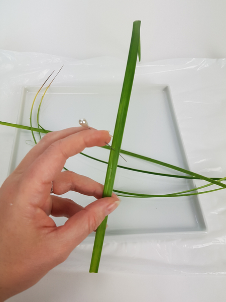 Rip a blade of grass into thin strips.
Rip a blade of grass into thin strips.