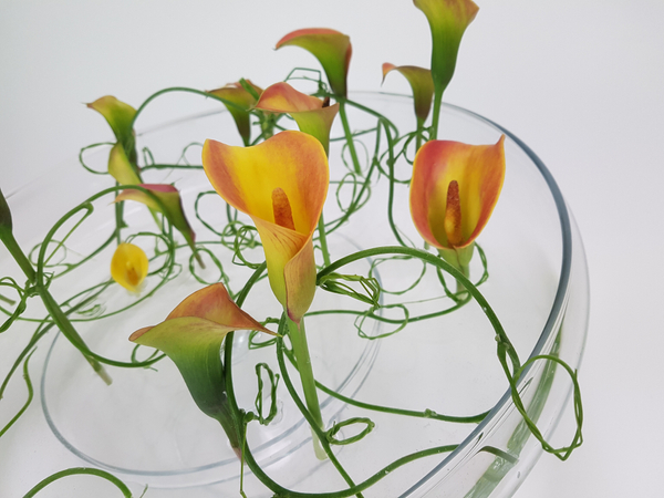 Arum lily and wisteria vines.