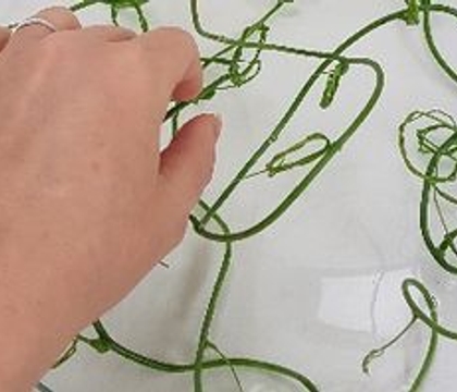 Wreath Vine Season!