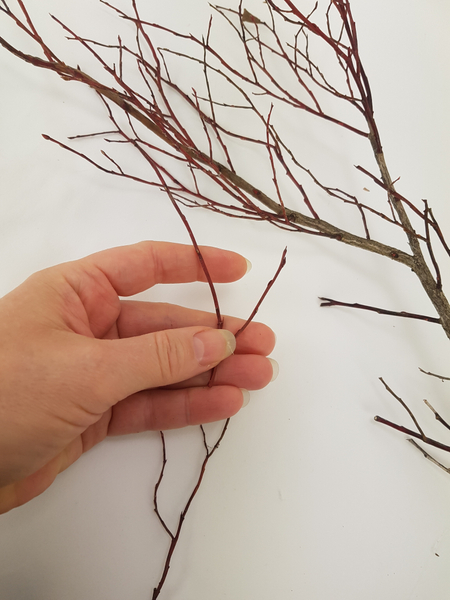 Cut a handful of thin twigs to about the same size